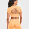Adapt Seamless Crop Top