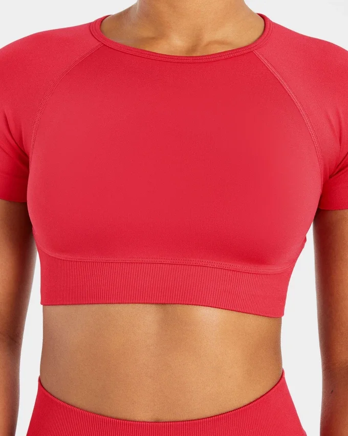 Adapt Seamless Crop Top